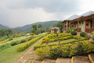 Bwindi Lodges